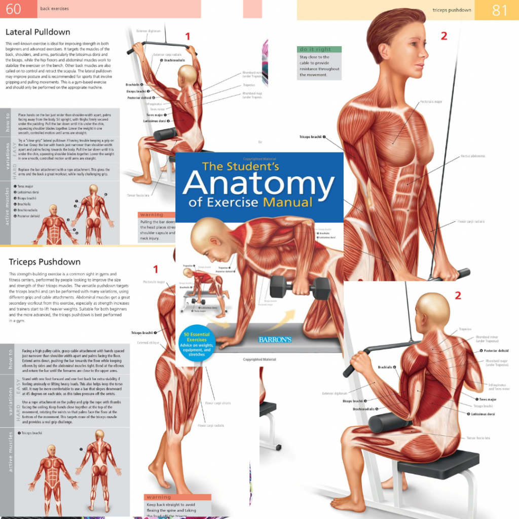 The Student's Anatomy of Exercise Manual: 50 Essential Exercises Including Weights, Stretches, and Cardio
Busy Student